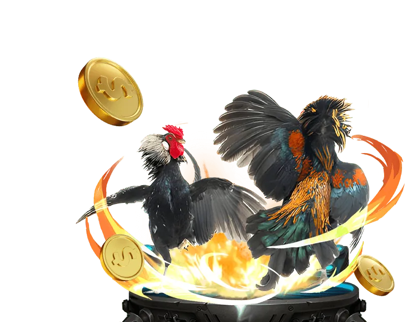 Các loại hình đá gà phổ biến tại BG88 Nổ Hũ