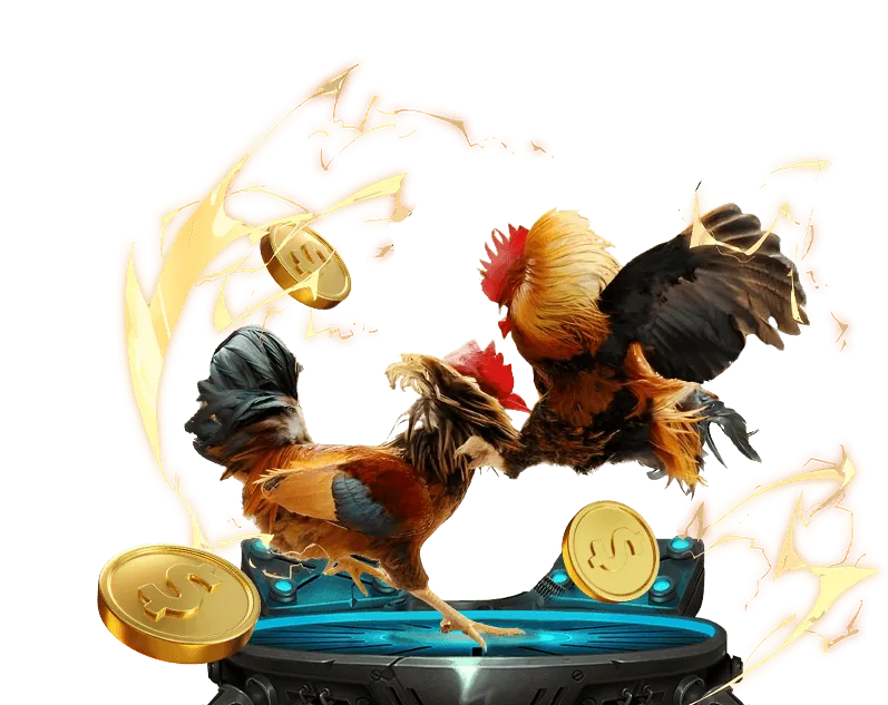 Quyền riêng tư dữ liệu của người dùng BG88 Nổ Hũ